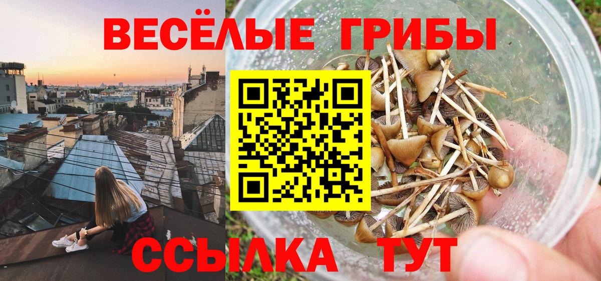 Воскресенск  Псилоцибиновые грибы прущие грибы  что такое наркотик  Вход с VPN 